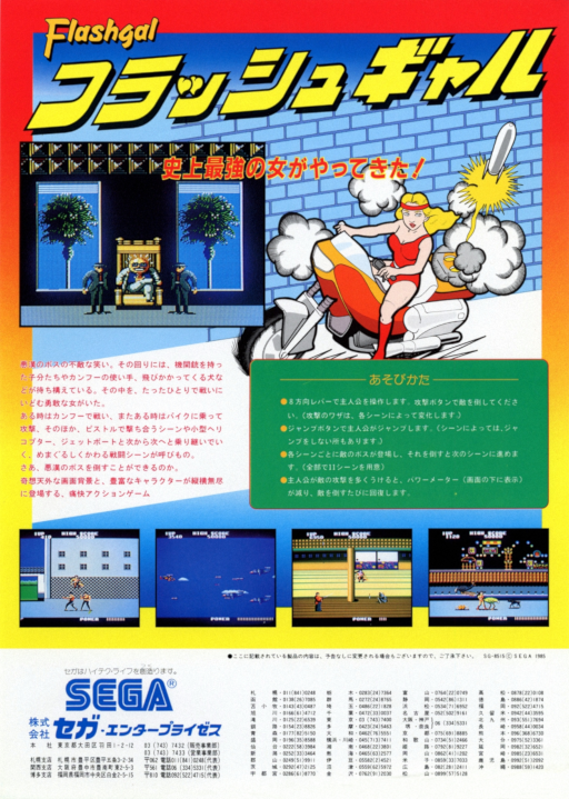 Flashgal (set 1) Arcade Game Cover